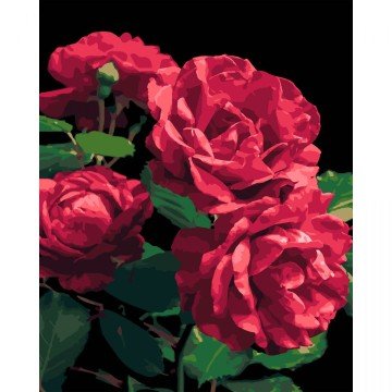 Фото1.Картина по номерах на чорному фоні 