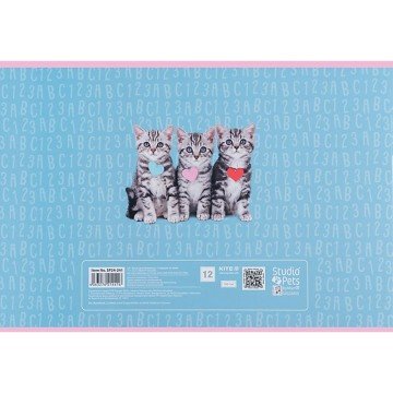 Фото9.Зошит для малювання, 12 арк., скоба, софт тач + УФ лак, SP