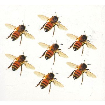 Фото1.Розвиваючі картки 