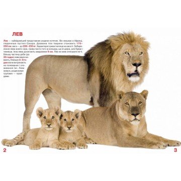 Фото1.Книга 