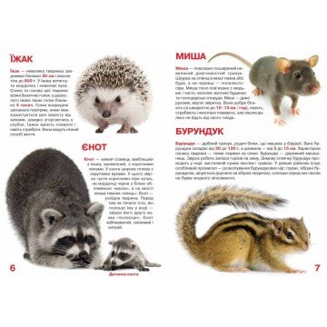 Фото2.Книга 