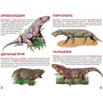 Фото1.Книга 