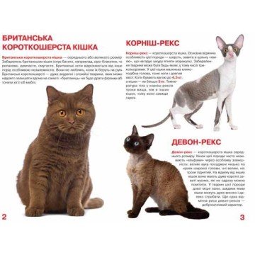 Фото1.Книга 