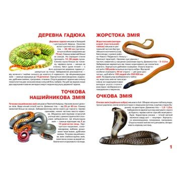 Фото1.Книга 