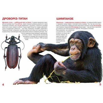 Фото2.Книга 