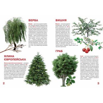 Фото1.Книга 