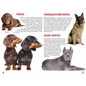 Фото1.Книга 