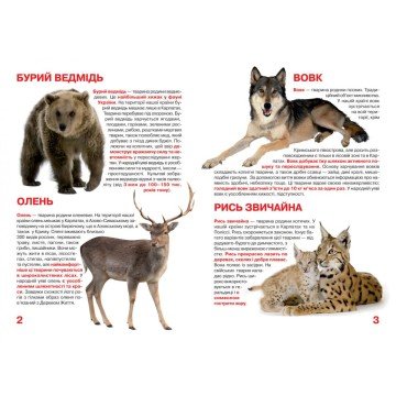 Фото2.Книга 