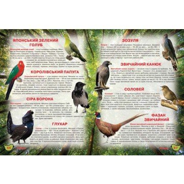 Фото2.Книга 