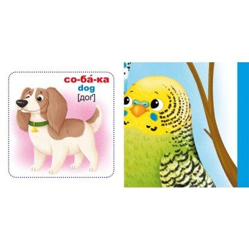 Фото1.Розумні картки. Домашні тварини. 30 карток, укр