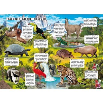 Фото1.Книжка з віконцями 