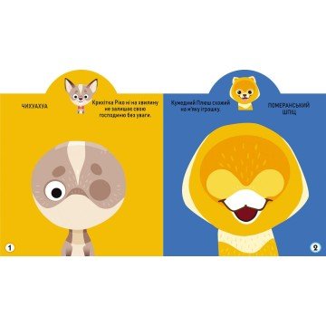 Фото1.Книга 