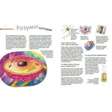 Фото1.Книга 