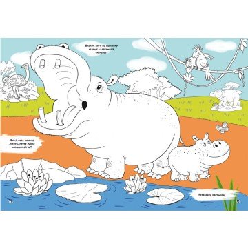 Фото1.Книга 