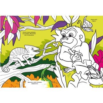 Фото1.Книга 