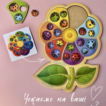 Фото1.Сортер з картками 