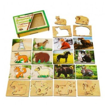 Фото1.Дощечки Сегена 