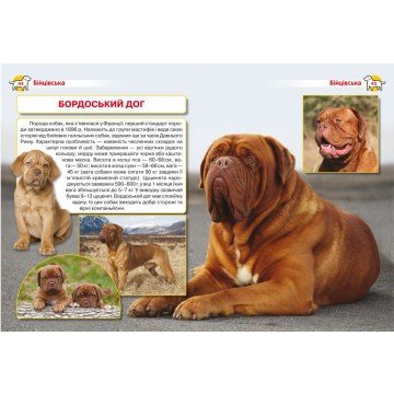 Фото2.Книга 