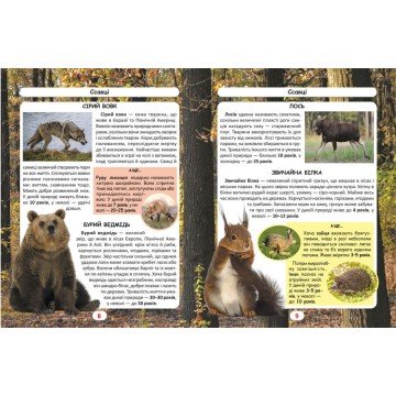 Фото2.Книга 