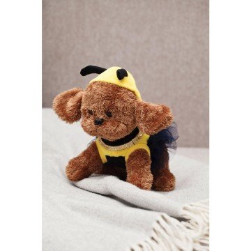 Фото2.Цуценя в костюмі 