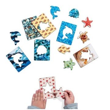 Фото1.Дощечки Сегена 