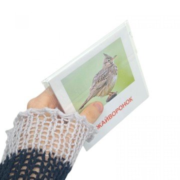 Фото1.Картки 