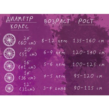 Фото1.Біговел 