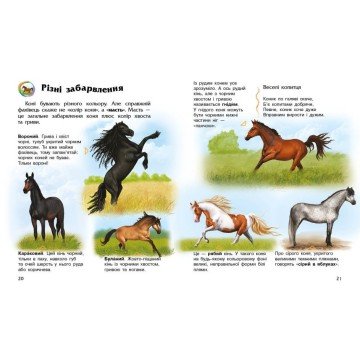 Фото1.Книга 