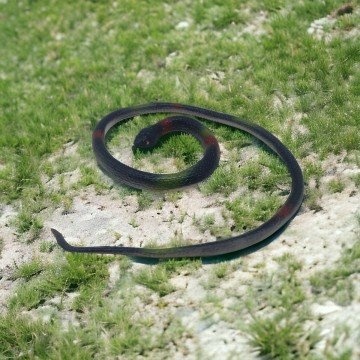 Фото1.Іграшка-тягучка 