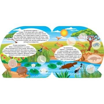 Фото2.Книга 