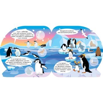 Фото2.Книга 