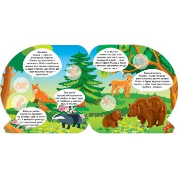 Фото1.Книга 