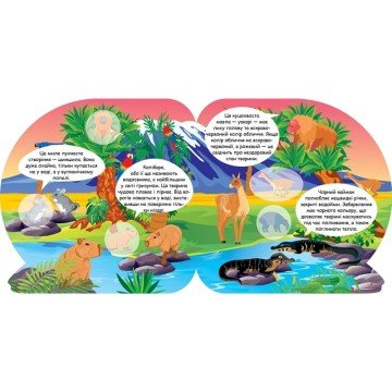 Фото2.Книга 