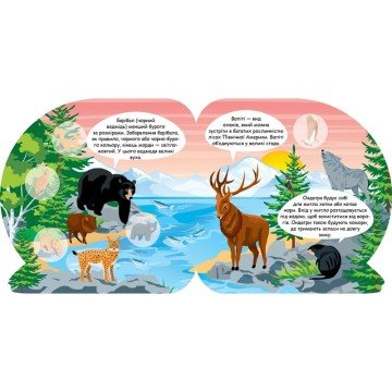 Фото2.Книга 