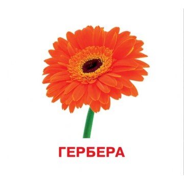 Фото2.Набір карток (міні): Квіти, 18 карток (укр)