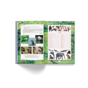 Фото2.Книга 