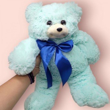 Фото1.Ведмідь Боник (м*ятний)