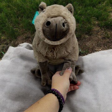 Фото2.Мʼяка іграшка 