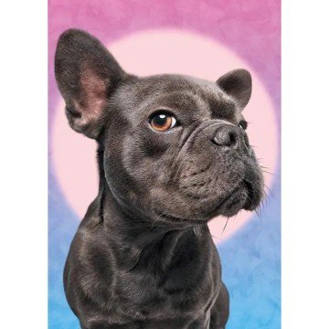 Фото1.Пазли 