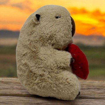 Фото1.Мʼяка іграшка 