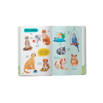 Фото1.Книга 