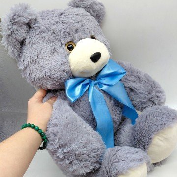 Фото1.Ведмідь Боник сірий