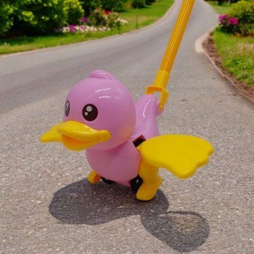 Фото1.Каталка на паличці з ручкою 