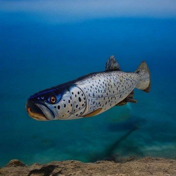 Фото1.М'яка іграшка лосось великий 75 см