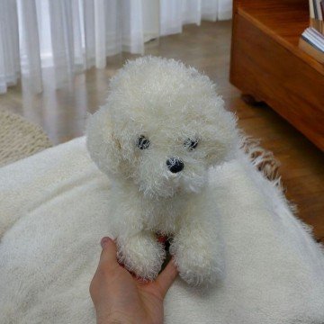 Фото1.М'яка іграшка собачка Мальтіпу 24 см вид 2