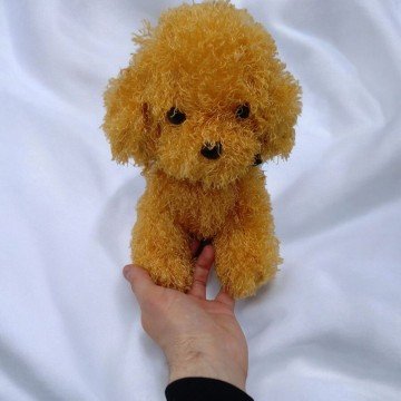 Фото1.М'яка іграшка собачка Мальтіпу 24 см вид 3