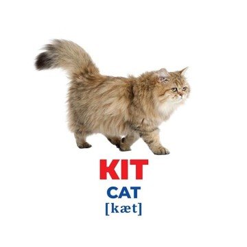 Фото1.Геній з пелюшок. Свійські тварини (демонстраційний матеріал)