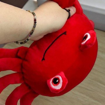 Фото2.Мʼяка іграшка 