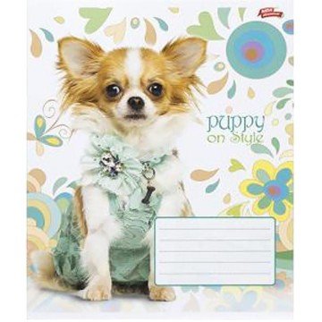 Фото1.Зошит кольоровий 12 аркушів, клітинка (20 штук в упаковці)