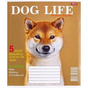 Фото1.Зошит кольоровий 12 аркушів, клітинка (20 штук в упаковці)